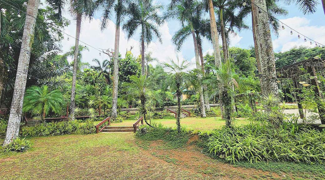 Lovely & Enrico Wedding Reception